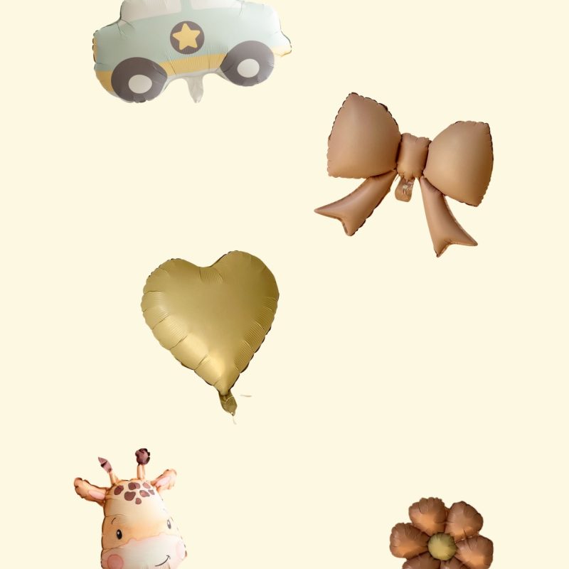 Folijski balon - tema